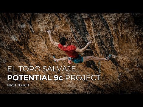 El Toro Salvaje - Potential 9c